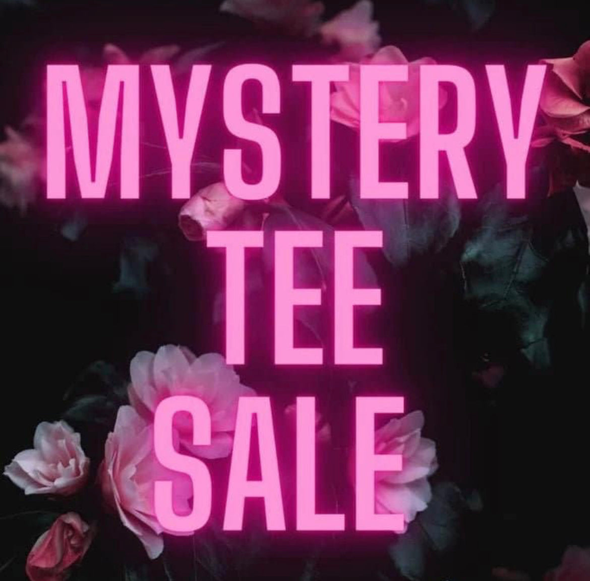 $20 Mystery Tee Pack Of Two